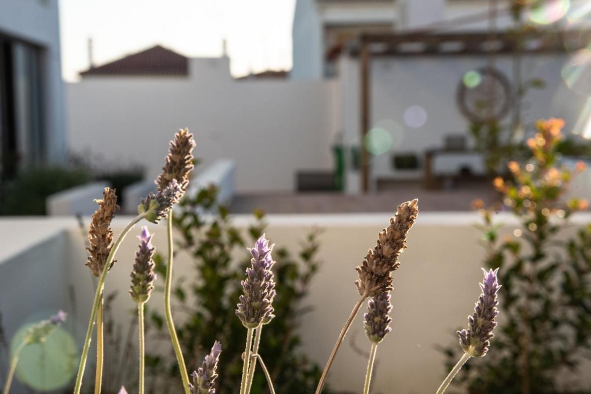 Vida Na Vila Vila Nova de Milfontes Dış mekan fotoğraf